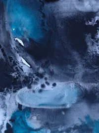 Stellaire